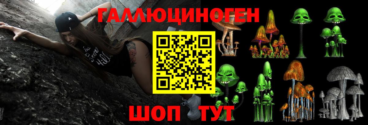 Заводоуковск  Галлюциногенные грибы мицелий  Вход с VPN 